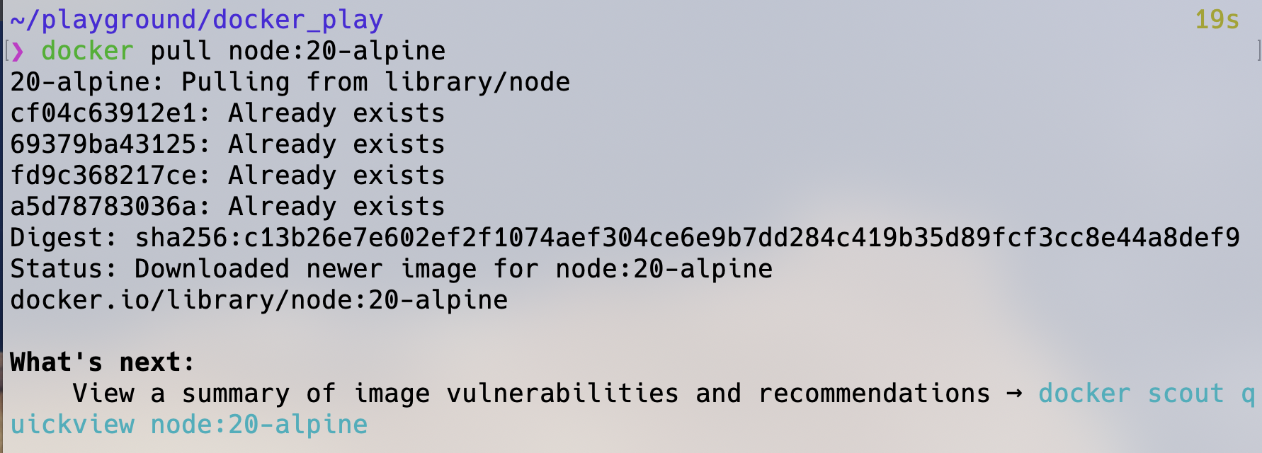 image-20241103115424270